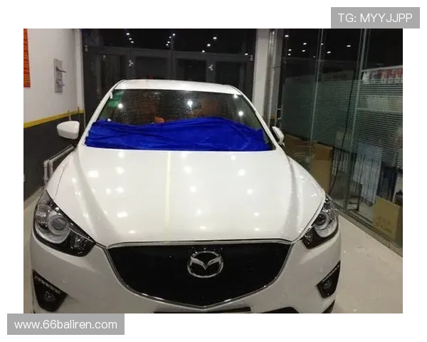 了解博彩导航的基本概念与操作流程